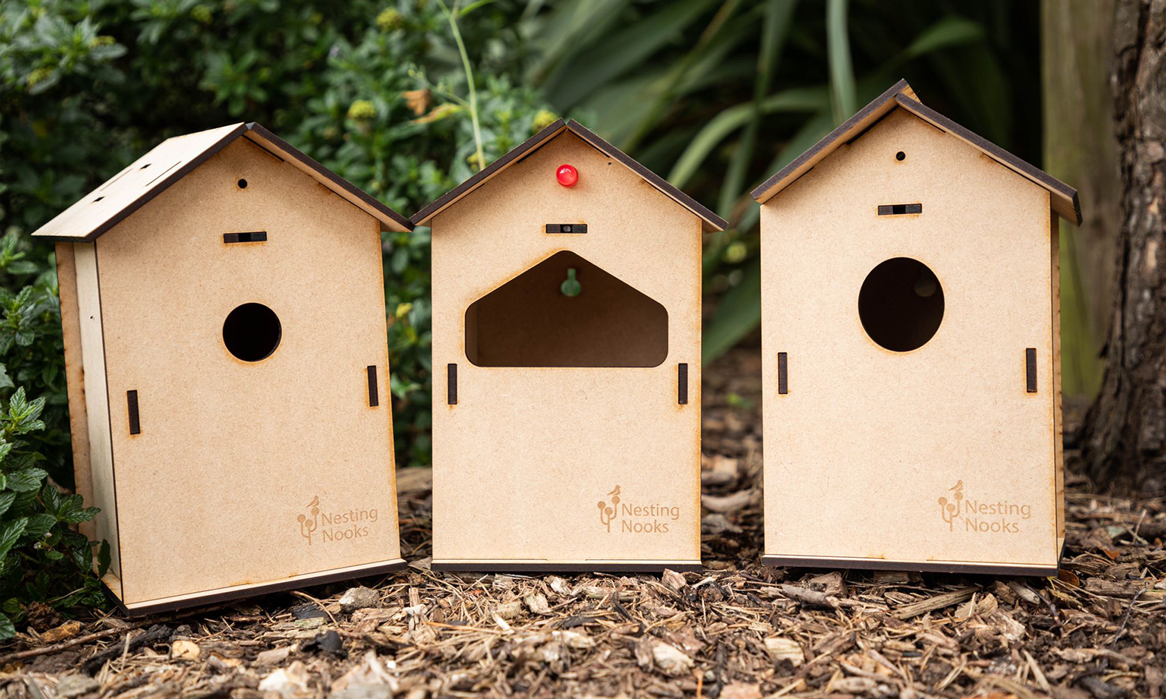 all three bird boxes